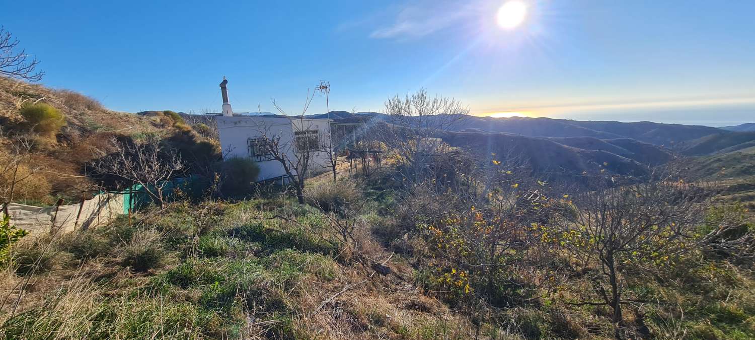 Farmhouse for sale with 15,000 m² of land in Torvizcón