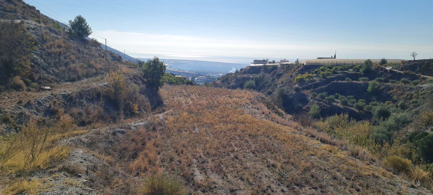 Land for sale for cultivation in Molvizar