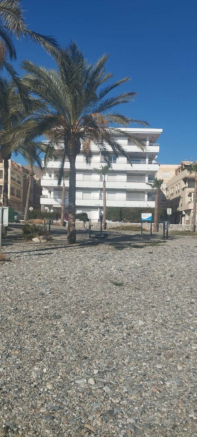 Apartment facing the sea Castell de Ferro