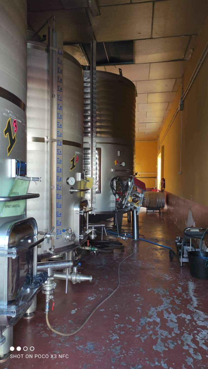 Winery and vineyards in operation