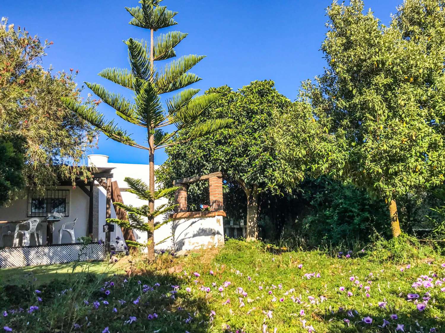 Casa de 3 dormitorios con terreno