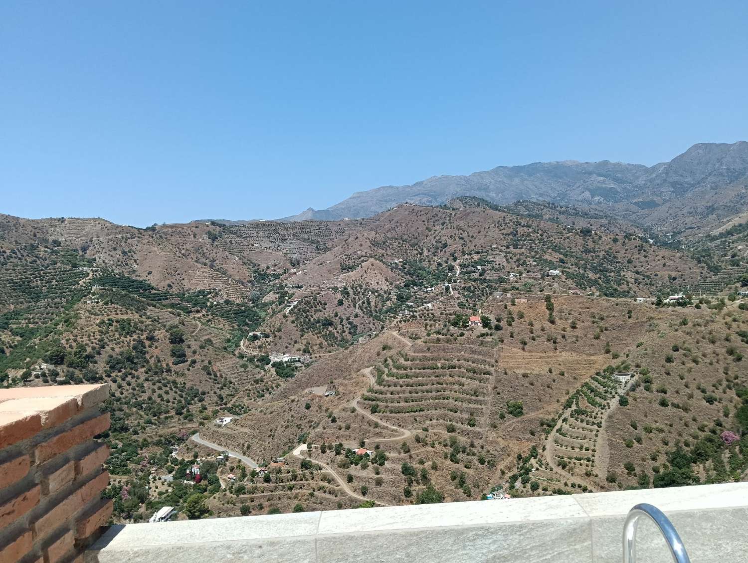 Se vende cortijo con 36000 m² de mangos en producción