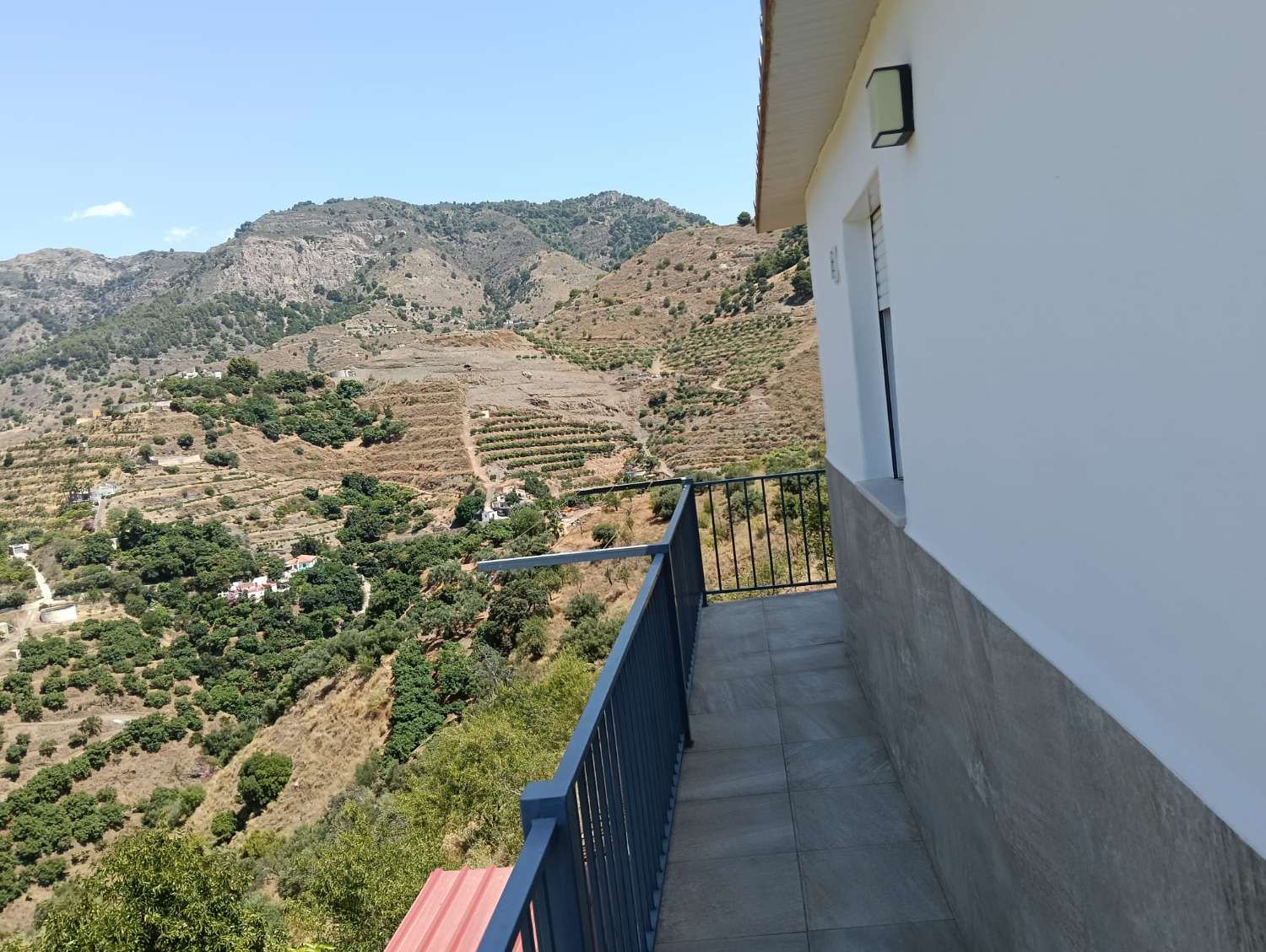 Se vende cortijo con 36000 m² de mangos en producción