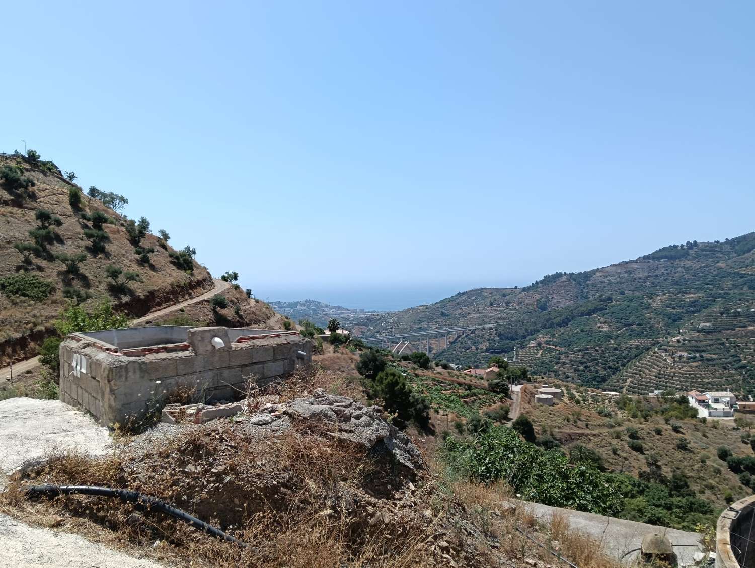 Se vende cortijo con 36000 m² de mangos en producción