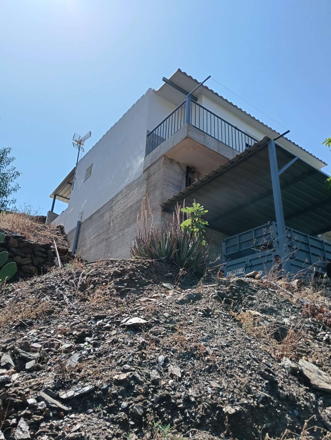 Se vende cortijo con 36000 m² de mangos en producción