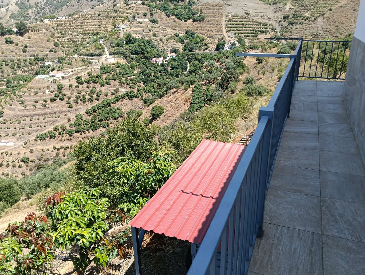 Se vende cortijo con 36000 m² de mangos en producción