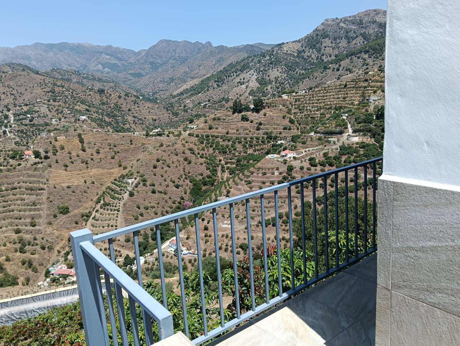 Se vende cortijo con 36000 m² de mangos en producción