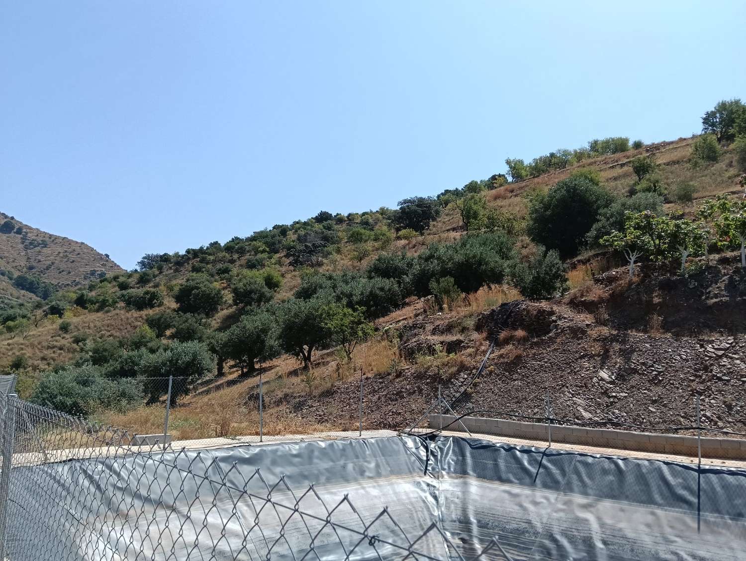 Se vende cortijo con 36000 m² de mangos en producción