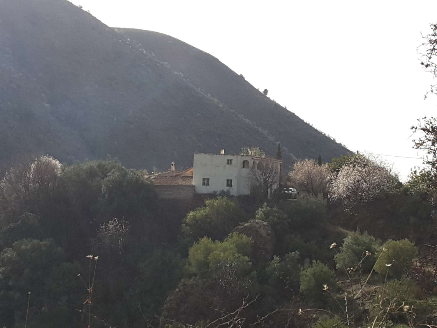 Cortijo and several ruins in rustic estates of 260,000 m2