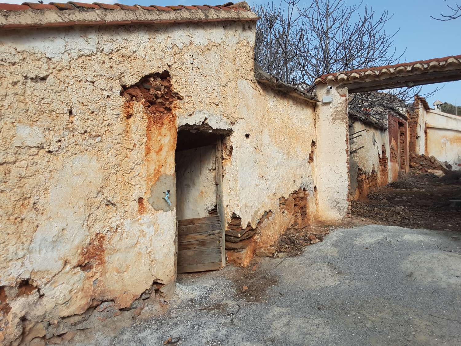 Кортихо и несколько руин в деревенских поместьях площадью 260 000 м2