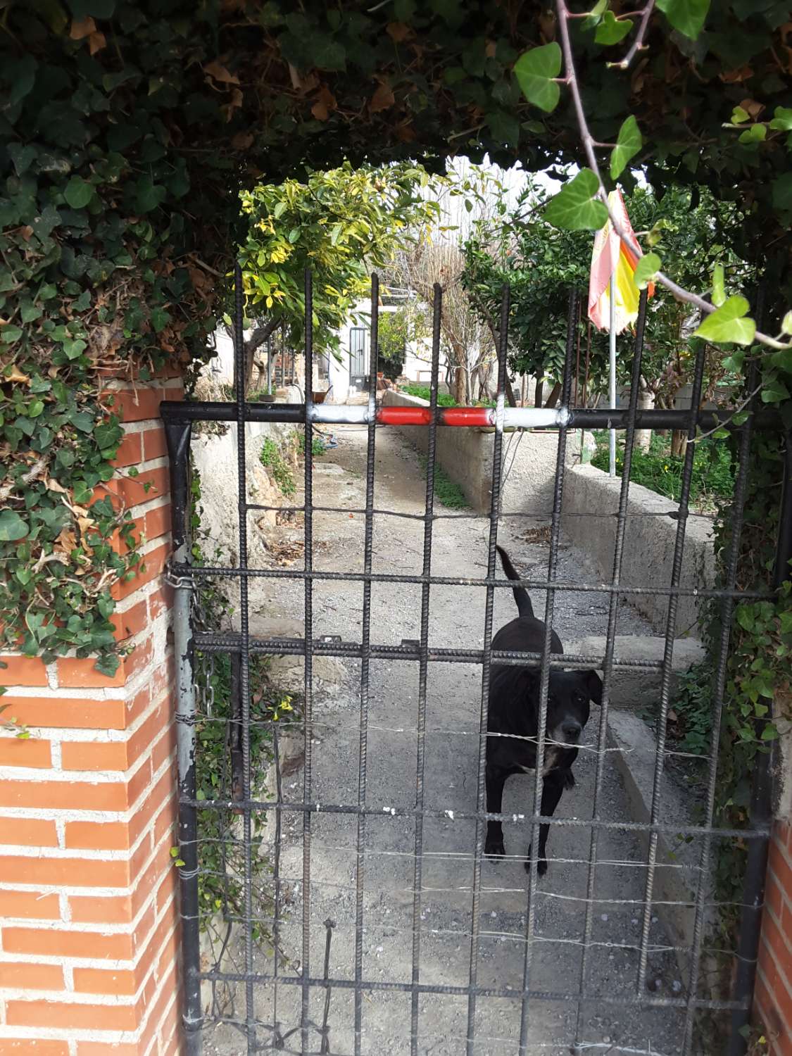 Cortijo y varias ruinas en fincas rústicas de 260.000 m2