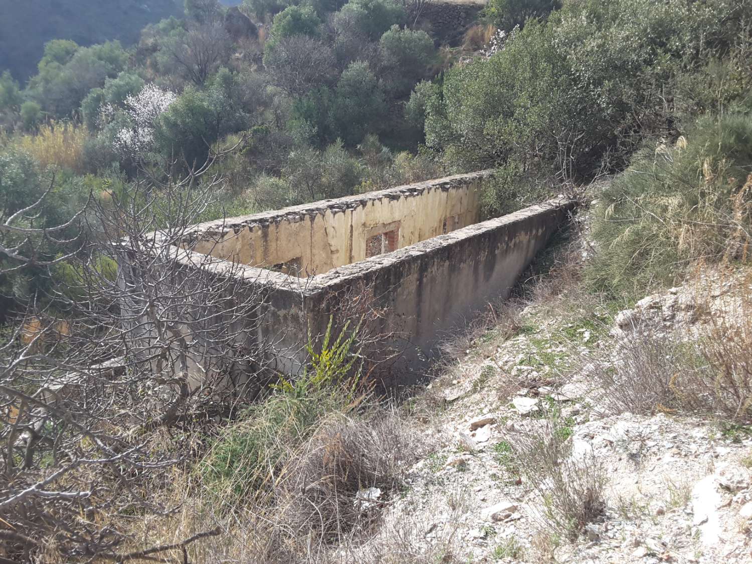 Cortijo y varias ruinas en fincas rústicas de 260.000 m2