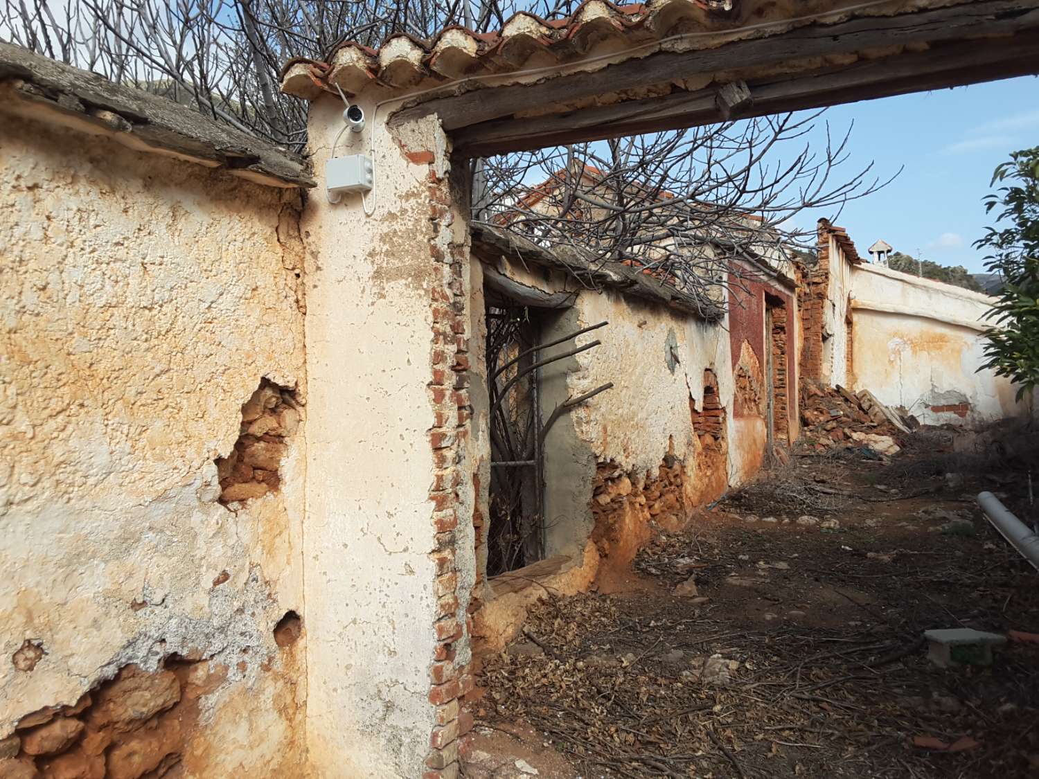 Cortijo y varias ruinas en fincas rústicas de 260.000 m2