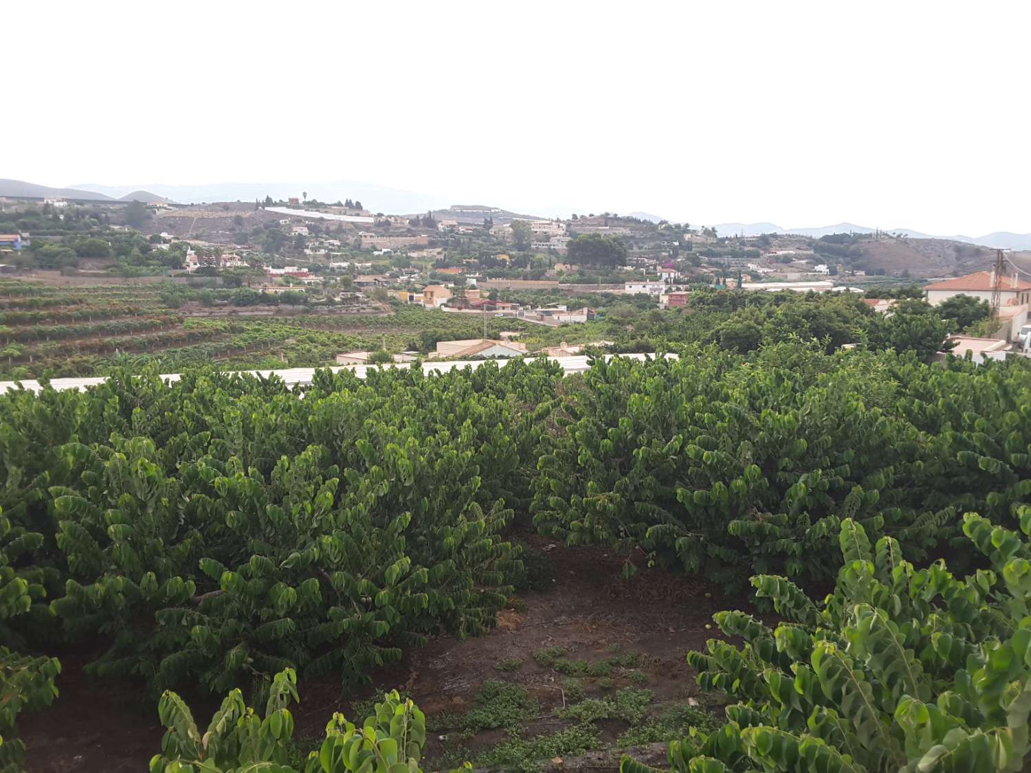 Si vendono 7 marjales di terreno con casale e recinto