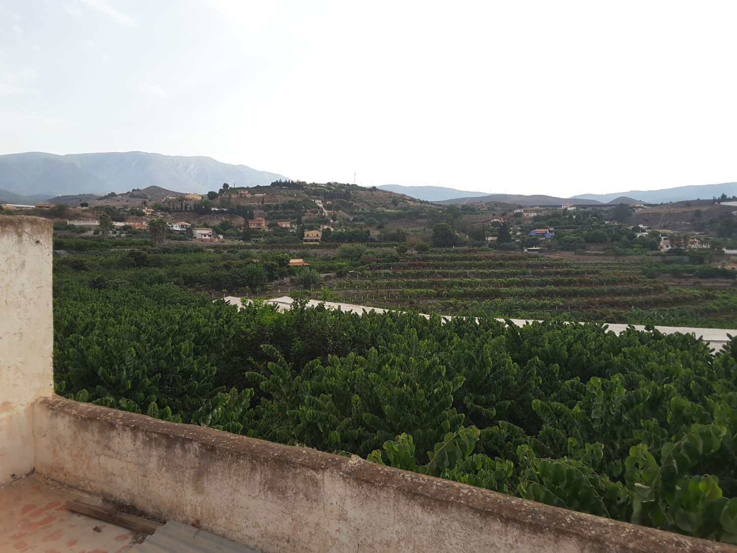 Se venden 7 marjales de terreno con cortijo y corral