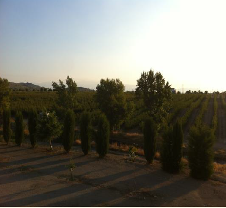 Maisons rurales-cortijo, entrepôt et ferme de 50 Ha.