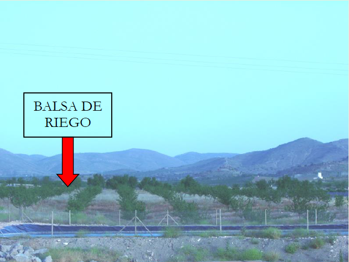 Rural houses-cortijo, warehouse and farm of 50 Ha.