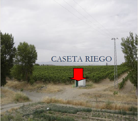 Case rurali-cortijo, magazzino e fattoria di 50 Ha.