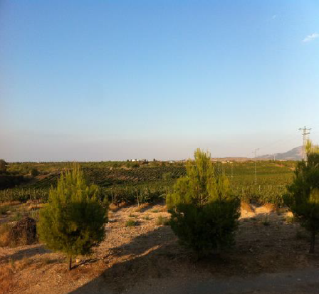 Landhäuser-Cortijo, Lager und Bauernhof von 50 ha.