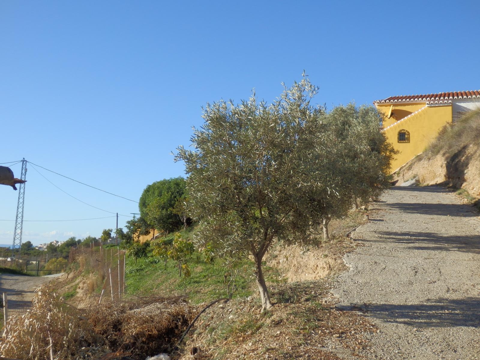 Villa de cuatro dormitorios en Nerja