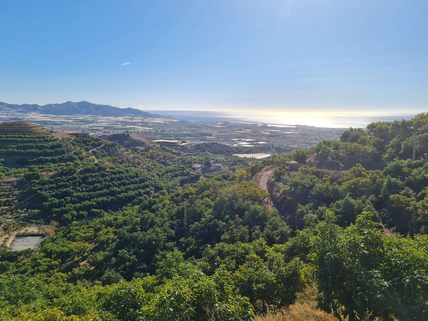 Casale con 1 Ha. (20 paludi) di terreno in produzione