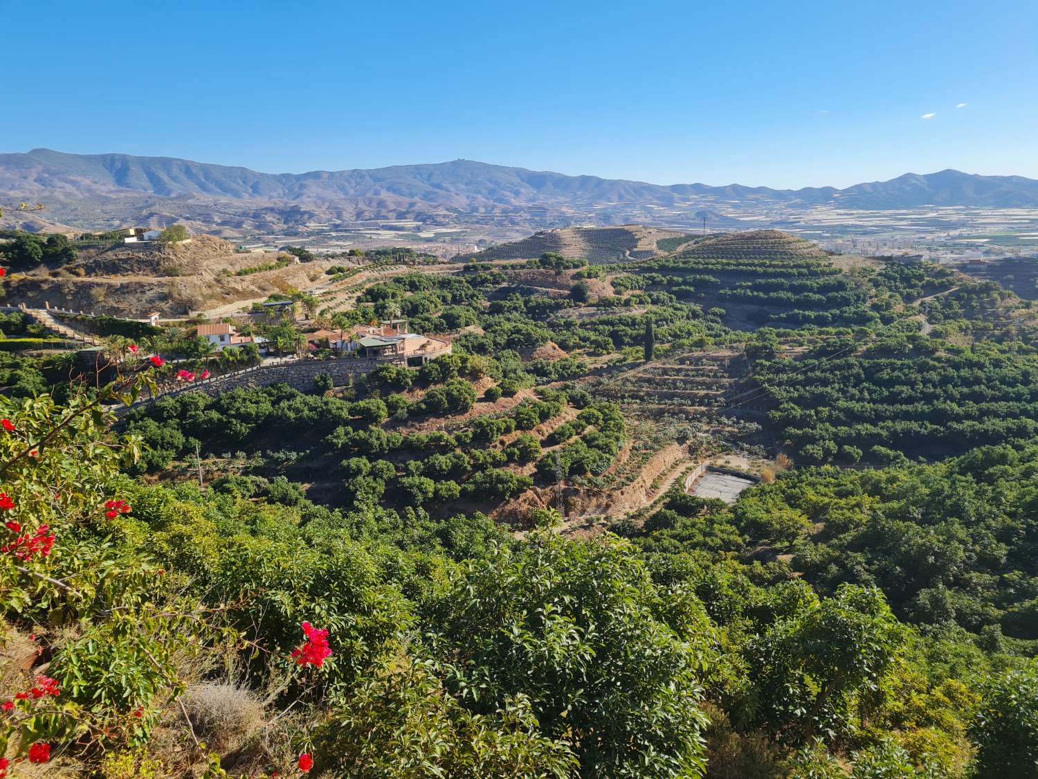 Cortijo con 1 Ha. (20 marjales) de terreno en producción en Motril