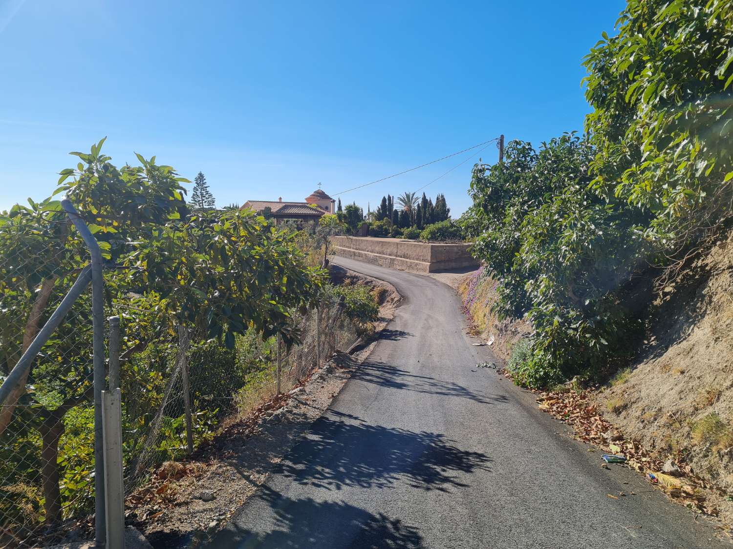 Cortijo con 1 Ha. (20 marjales) de terreno en producción en Motril