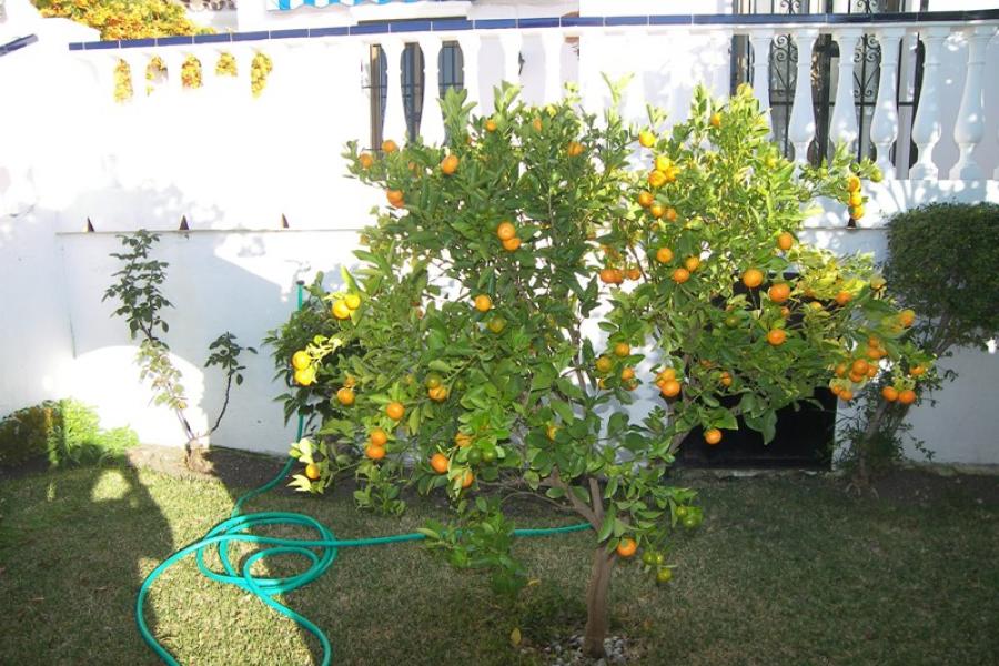 Gemütliches Haus zu vermieten in San Juan de Capistrano