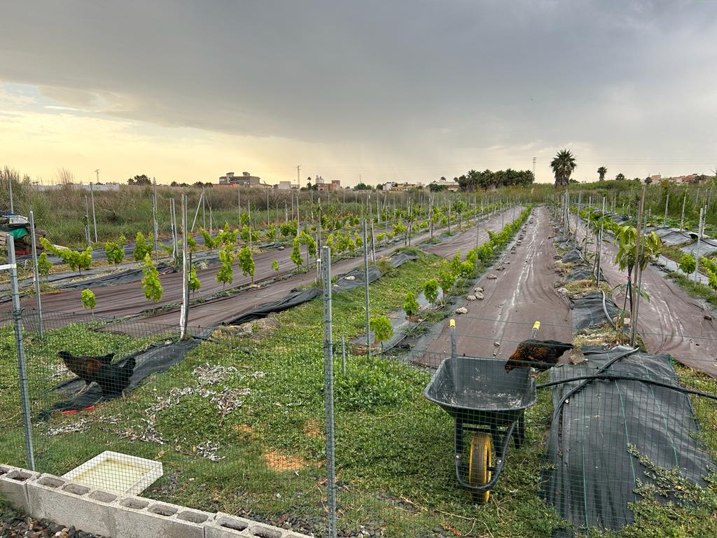 Rustikales Grundstück zum Verkauf in Motril