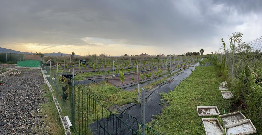 Terreno rustico in vendita a Motril