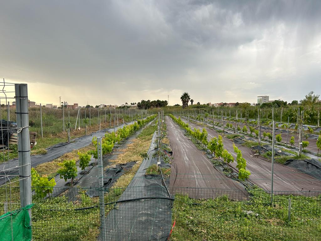 Terreno rustico in vendita a Motril