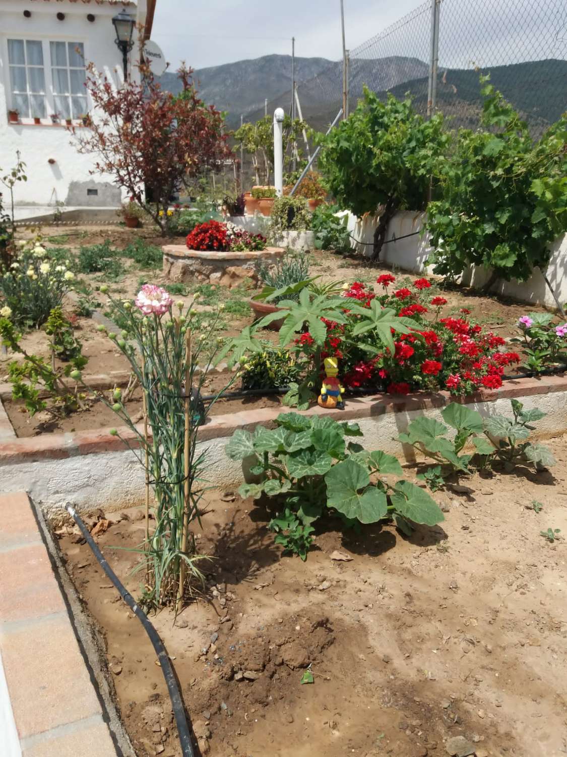 الشاليه للبيع في Los Tablones - La Garnatilla (Motril)