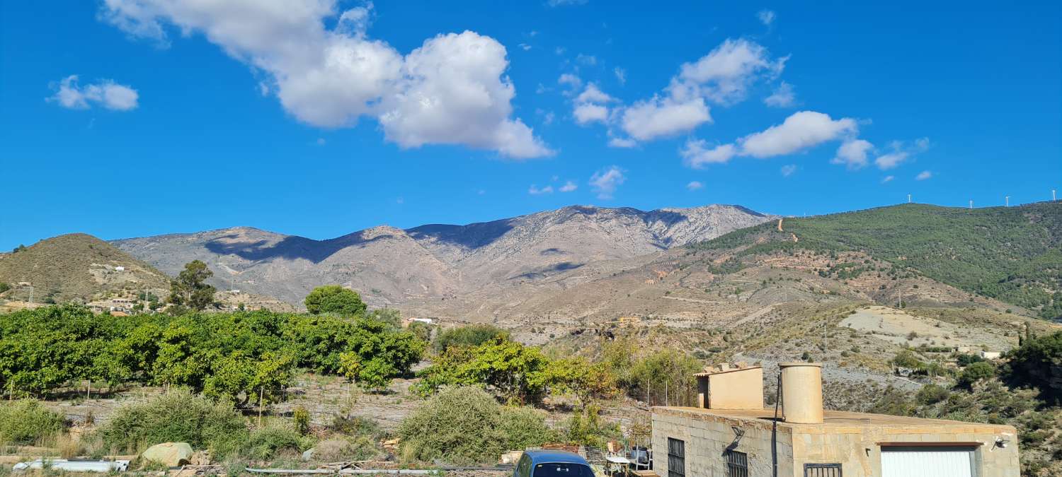 Se vende  cortijo con 4000 m² de terreno