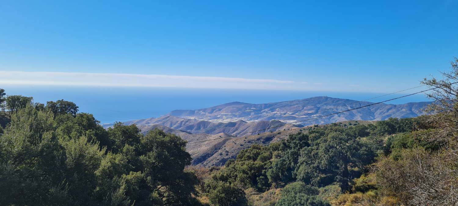 Ferme avec 15 000 m² de terrain à vendre à Torvizcón