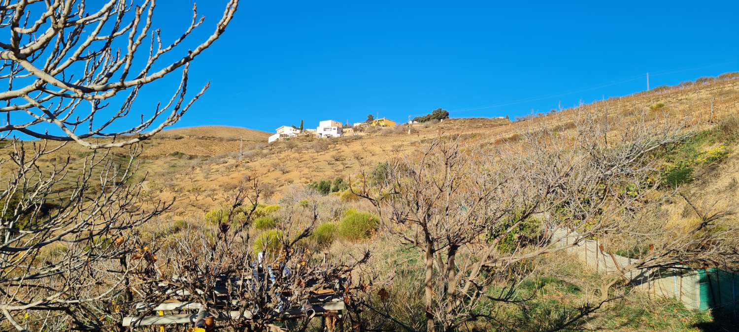 Se vende cortijo con 15000 m² de terreno en Torvizcón