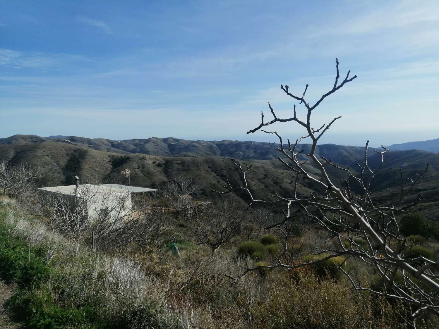 Se vende cortijo con 15000 m² de terreno en Torvizcón