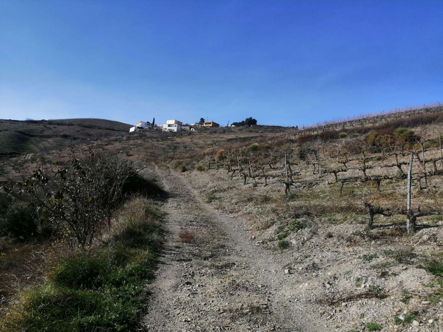 Boerderij met 15.000 m² grond te koop in Torvizcón