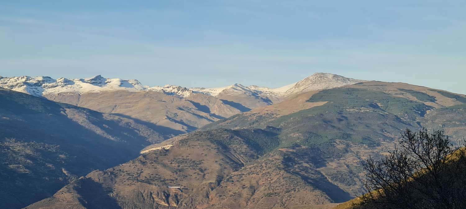 Ferme avec 15 000 m² de terrain à vendre à Torvizcón