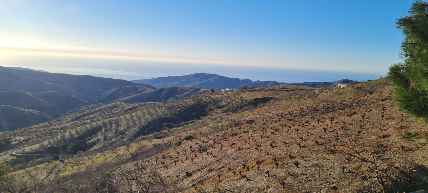 Casale con 15.000 m² di terreno in vendita a Torvizcón