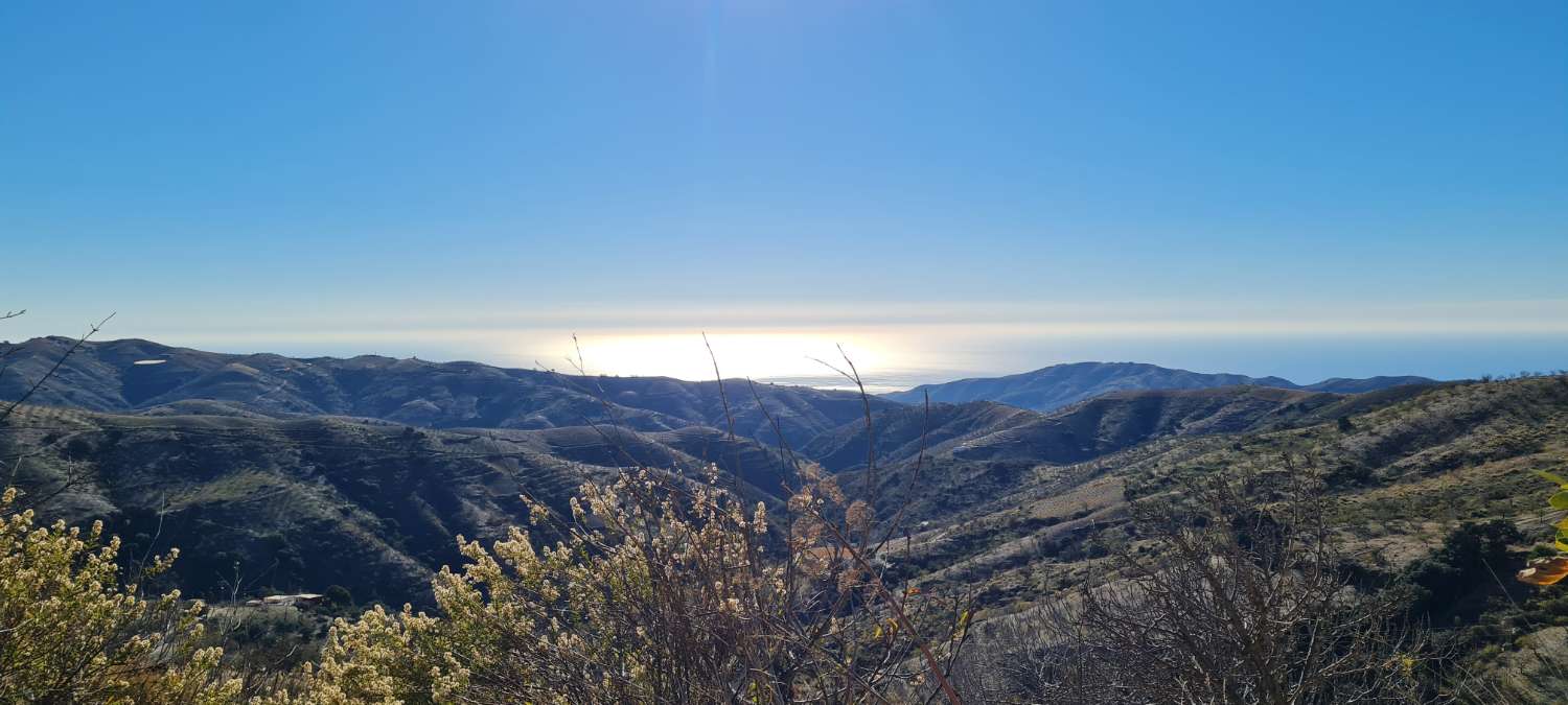 Ferme avec 15 000 m² de terrain à vendre à Torvizcón