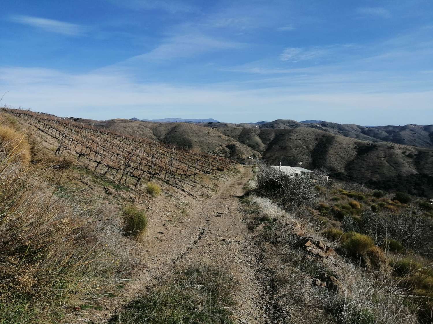 Farmhouse for sale with 15,000 m² of land in Torvizcón