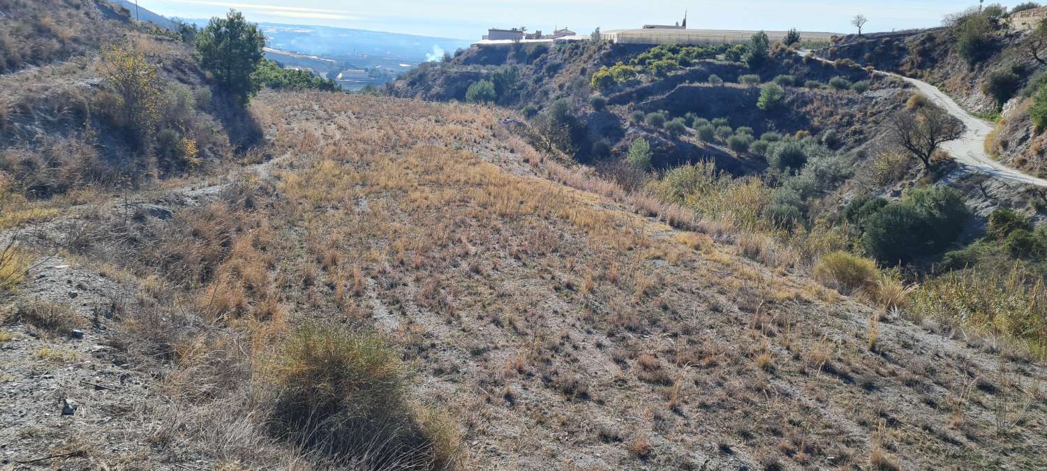 Terrain à vendre pour culture à Molvizar