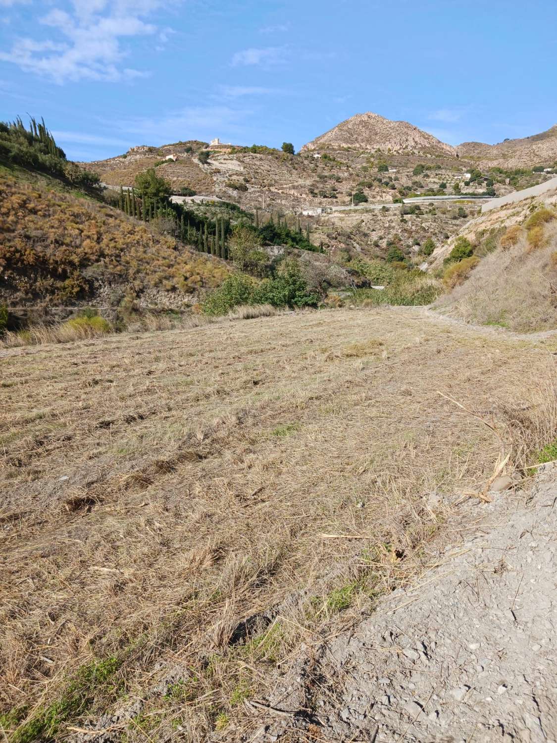 Terrain à vendre pour culture à Molvizar