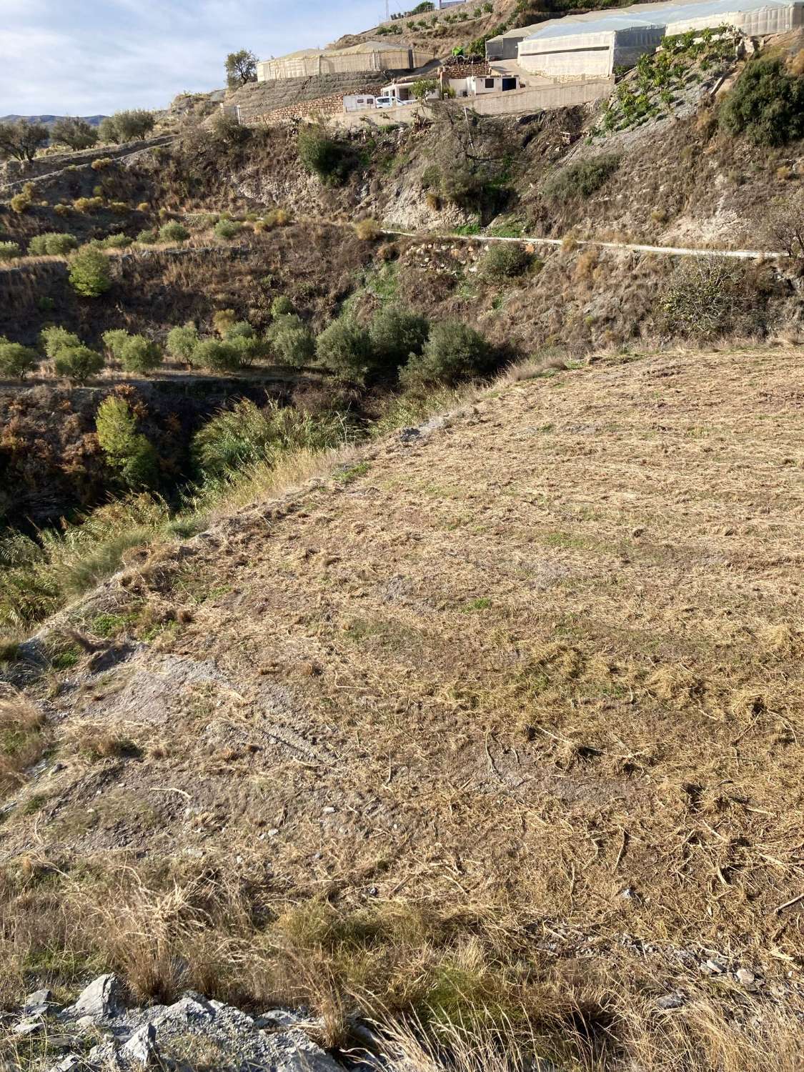 Terreno in vendita per la coltivazione a Molvizar