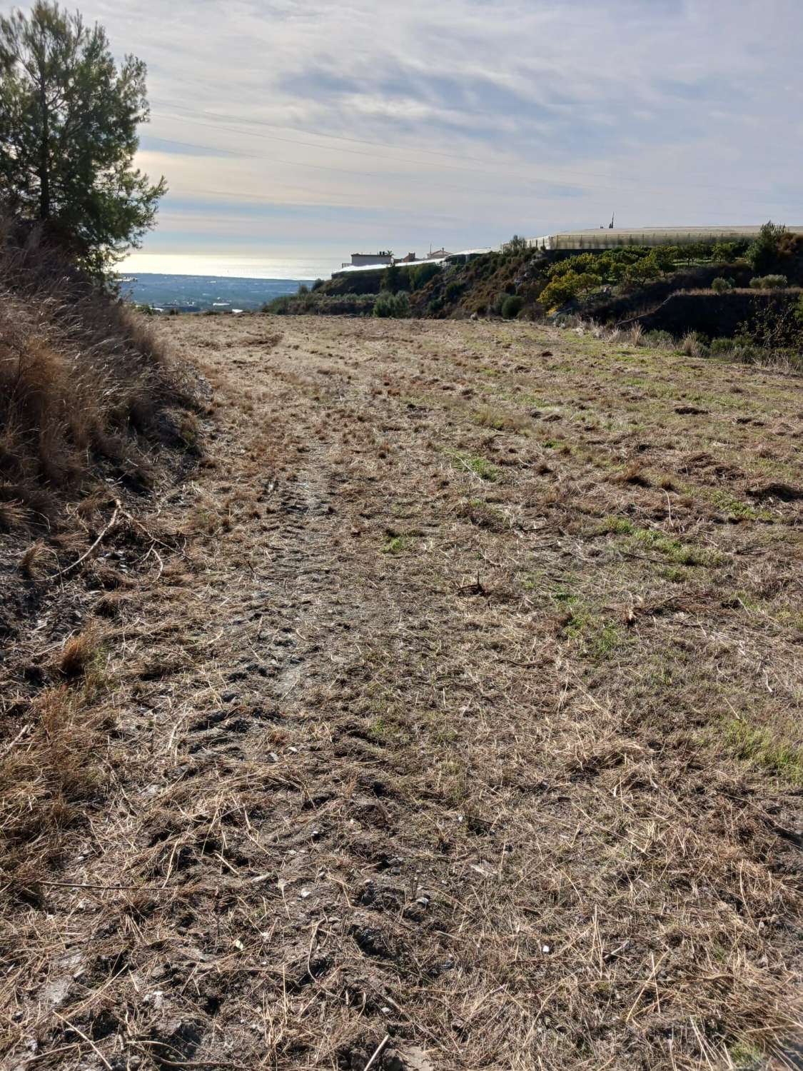 Terreno in vendita per la coltivazione a Molvizar