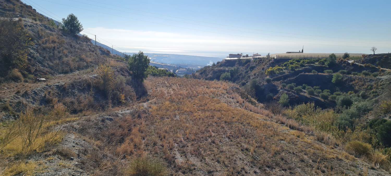 Terreno in vendita per la coltivazione a Molvizar