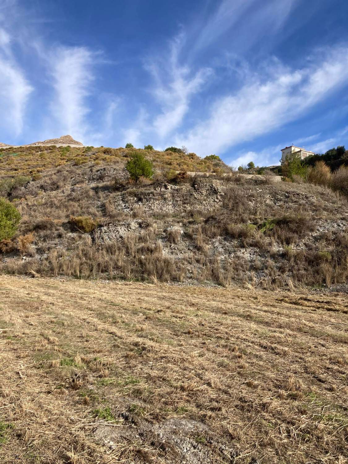 Terrain à vendre pour culture à Molvizar