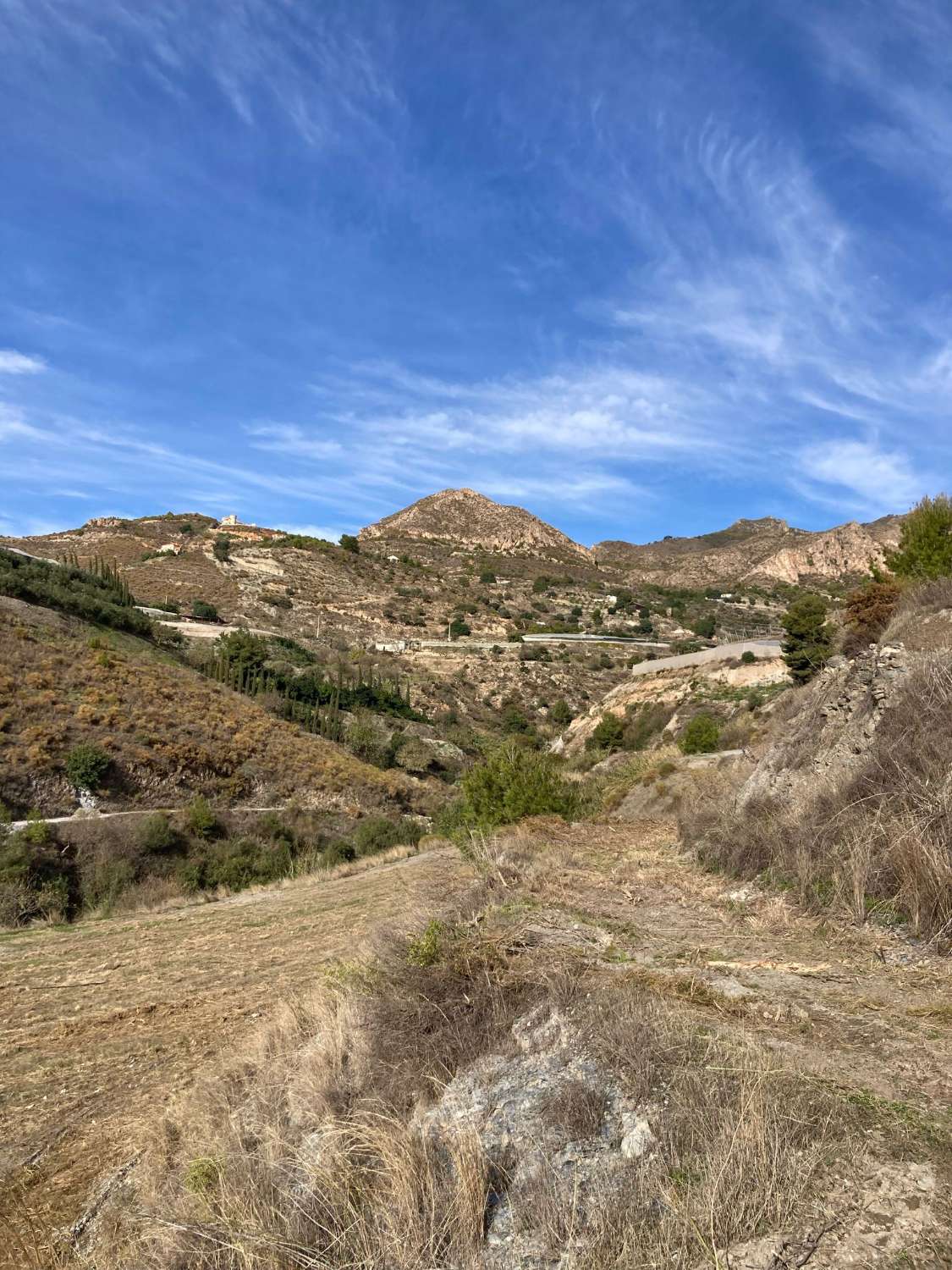 Terrain à vendre pour culture à Molvizar