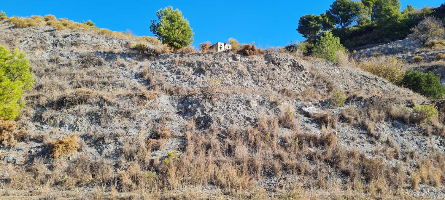 Se vende terreno para cultivo en Molvizar