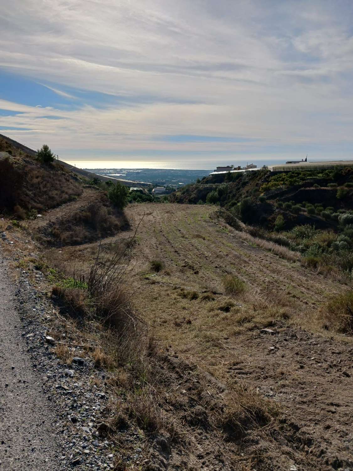 Terreno in vendita per la coltivazione a Molvizar